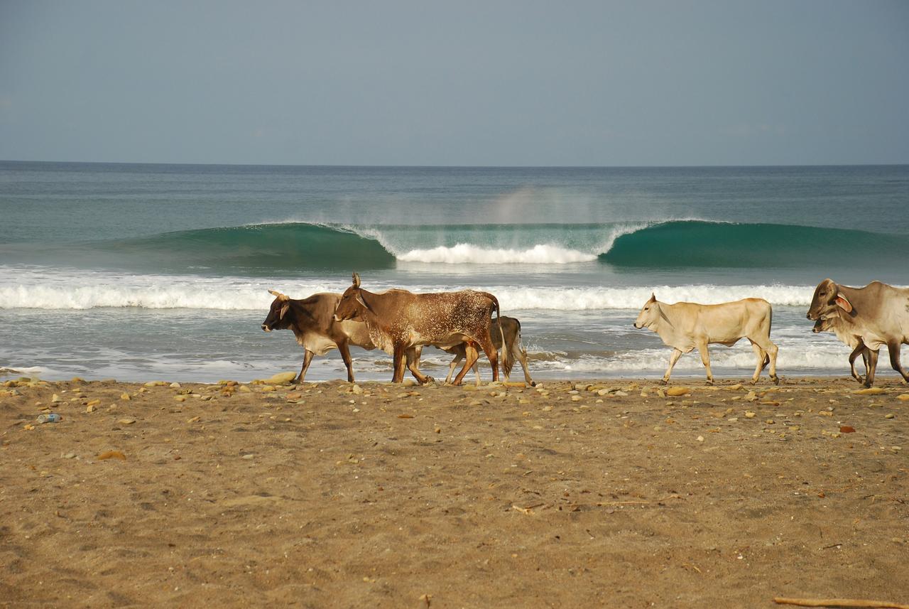 Surf Sanctuary Hotel El Limon Ngoại thất bức ảnh